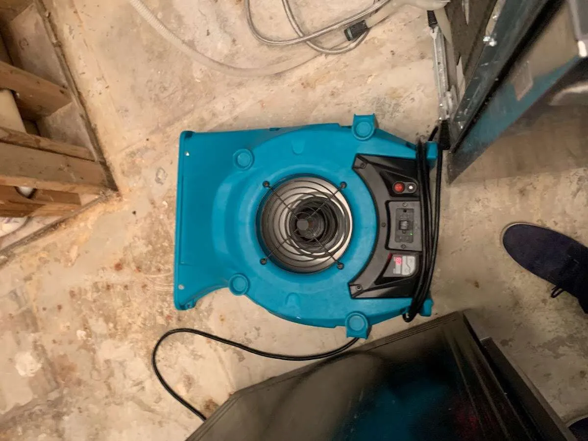 Air mover drying equipment for Mold Remediation & Removal in Meridianville