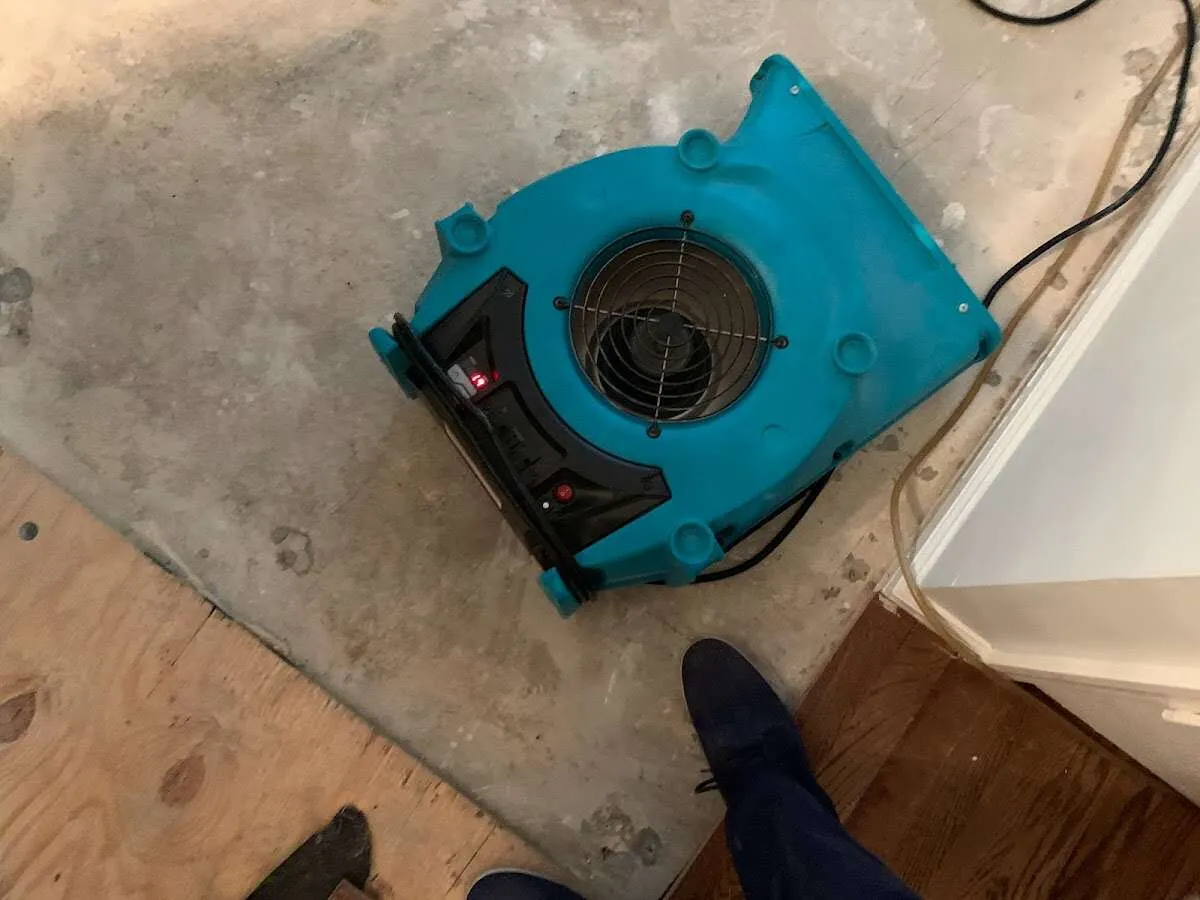 Air mover drying subfloor during Leak Detection & Repair in Meridianville