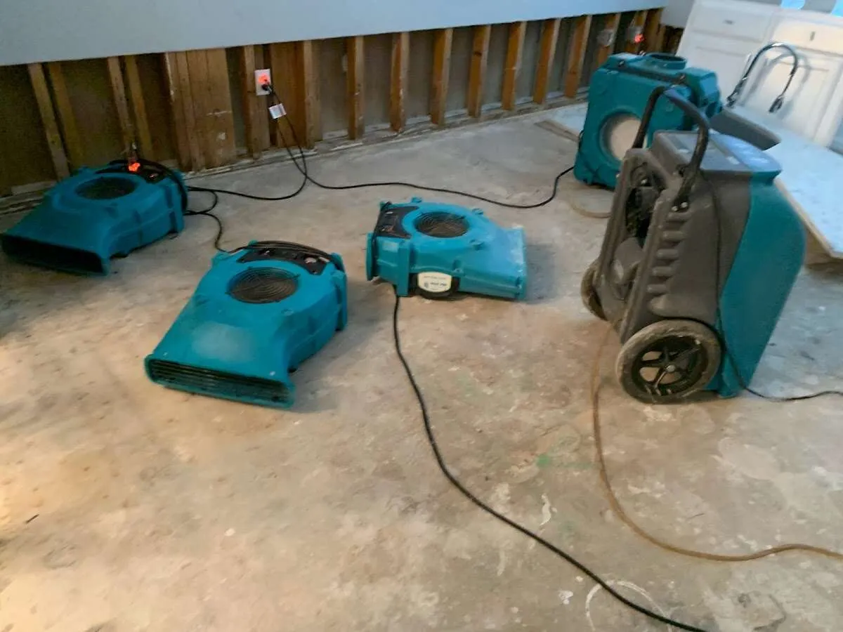 Water Damage Restoration services in Meridianville, AL